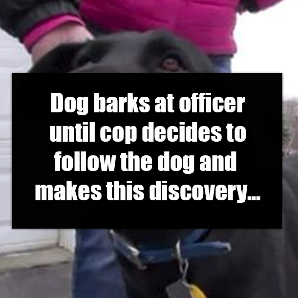 Dog barks at officer until cop decides to follow the dog and makes this discovery...