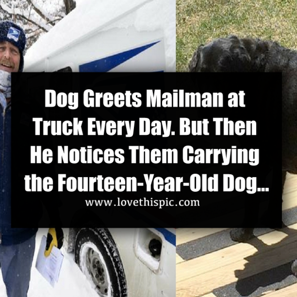 Dog Greets Mailman at Truck Every Day. But Then He Notices Them Carrying the Fourteen-Year-Old Dog…