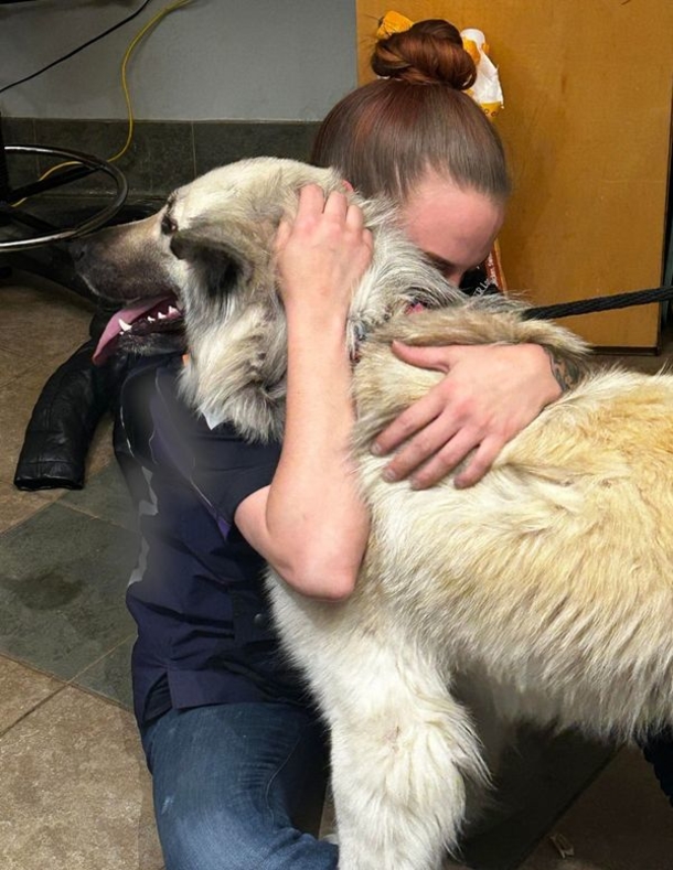Dog is reunited with owner who had to let her go due to homelessness - picture 4