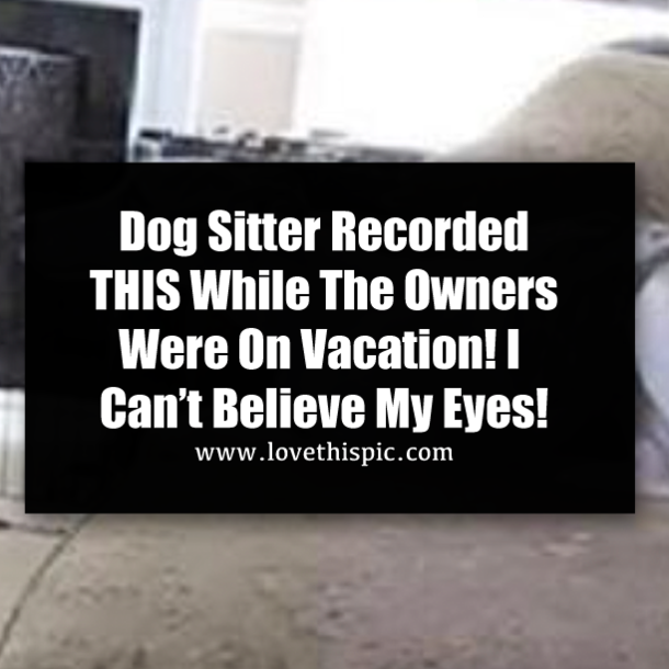 Dog Sitter Recorded THIS While The Owners Were On Vacation! I Can’t Believe My Eyes!