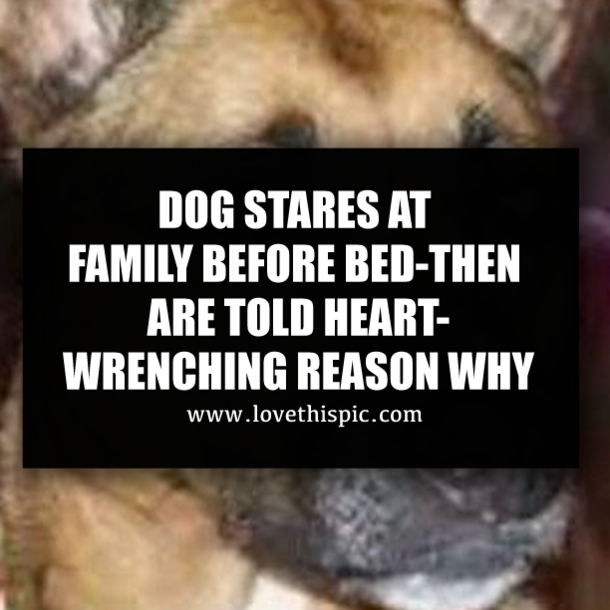DOG STARES AT FAMILY BEFORE BED-THEN ARE TOLD HEART-WRENCHING REASON WHY