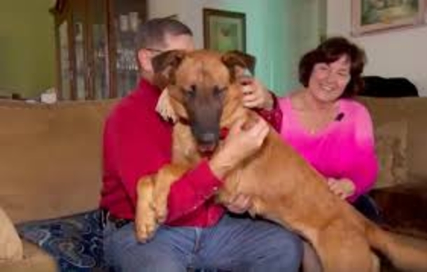 DOG STARES AT FAMILY BEFORE BED-THEN ARE TOLD HEART-WRENCHING REASON WHY - picture 3
