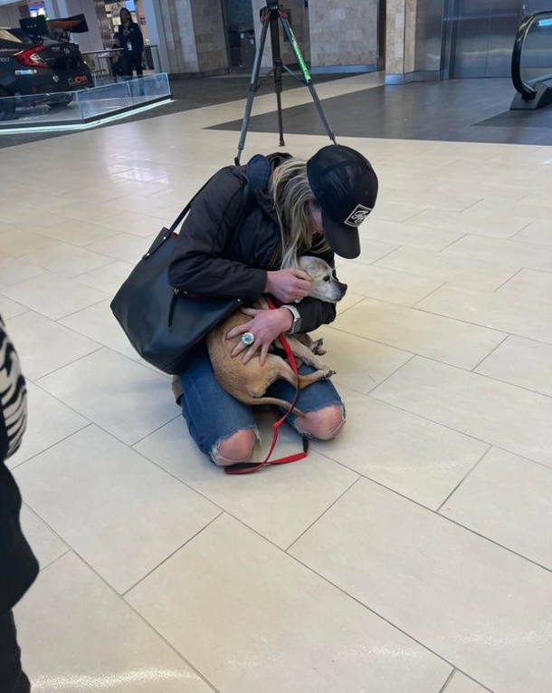 Dog that disappeared for 7 years is finally found 1,700 miles from home, finally reunites with owner - picture 3
