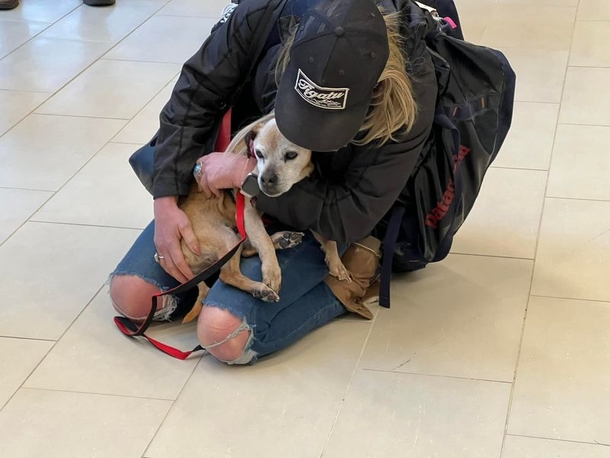 Dog that disappeared for 7 years is finally found 1,700 miles from home, finally reunites with owner - picture 4