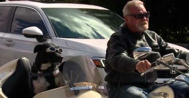 Dog that was saved from shelter now rides in custom sidecar on owner’s motorcycle - picture 2