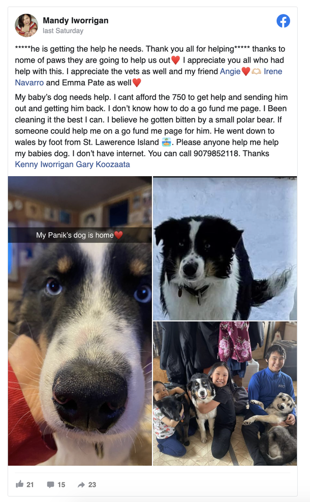 Dog that went missing returns home after surviving a 150-mile journey across Alaska's sea ice - picture 3