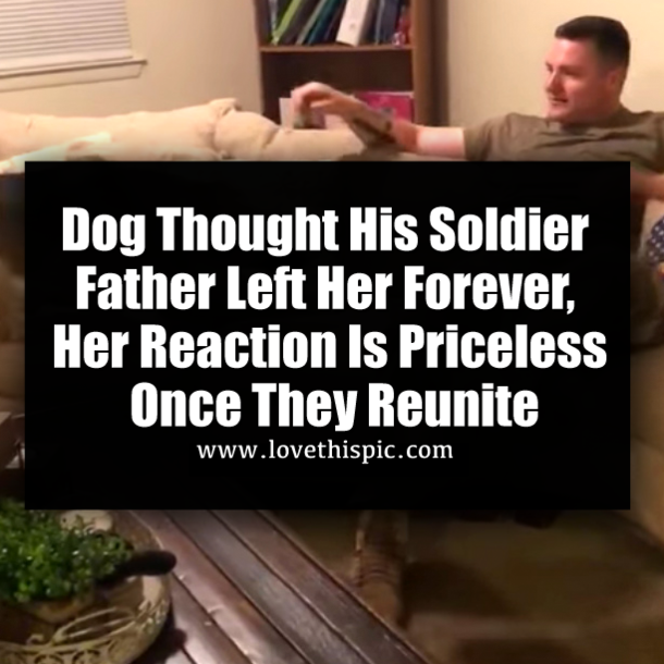 Dog Thought His Soldier Father Left Her Forever, Her Reaction Is Priceless Once They Reunite