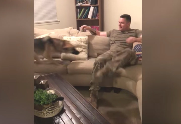 Dog Thought His Soldier Father Left Her Forever, Her Reaction Is Priceless Once They Reunite - picture 3