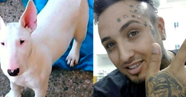 Dog Unrecognizable After Man Tattoos Eyes, Nose And Cheeks; Before And After Photos Are Startling - picture 2