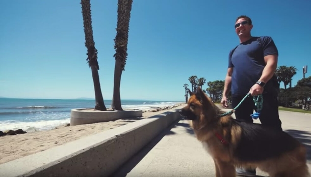 Dog was chained up for his whole life, then sees the ocean for the very first time - picture 5