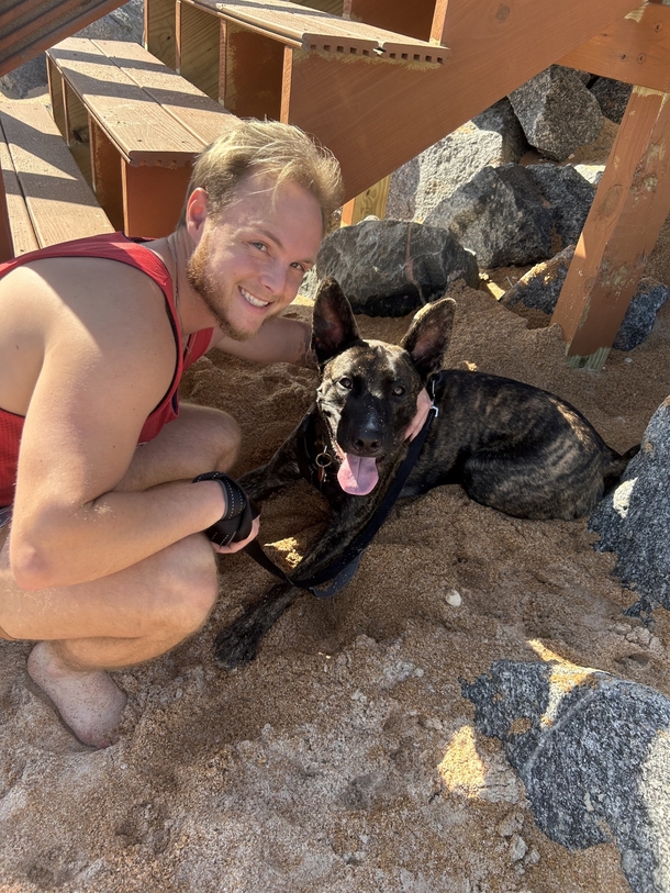 Dog was shot twice and survives; finds a new home as attacker goes to prison - picture 5