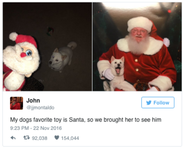 Dog Who Loves Her Stuffed Santa Toy Has Priceless Reaction When She Meets Real One - picture 3
