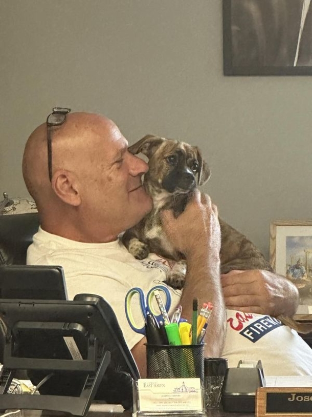 Dog who was left in hot, 122-degree car gets adopted by firefighters who rescued him - picture 3