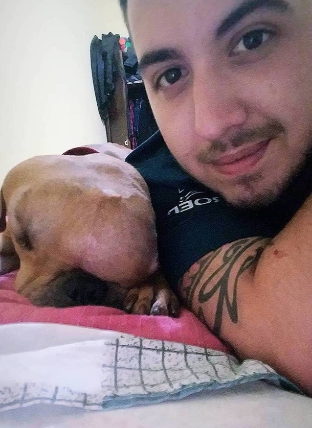 Dog with terminal cancer rejected by multiple families – then man sees him and knows exactly just what to do - picture 3