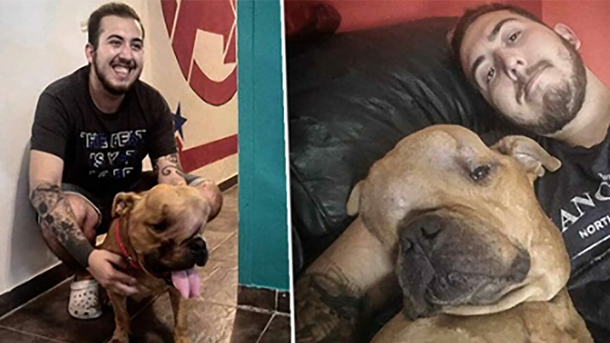 Dog with terminal cancer rejected by multiple families – then man sees him and knows exactly just what to do - picture 4