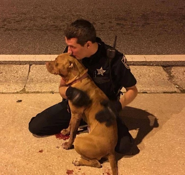 Dog Would Not Leave Injured Friend’s Side — Then Officers Step In To Assist - picture 2