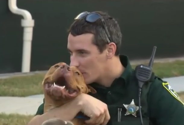 Dog Would Not Leave Injured Friend’s Side — Then Officers Step In To Assist - picture 4