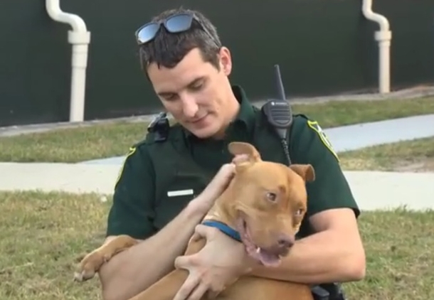 Dog Would Not Leave Injured Friend’s Side — Then Officers Step In To Assist - picture 5