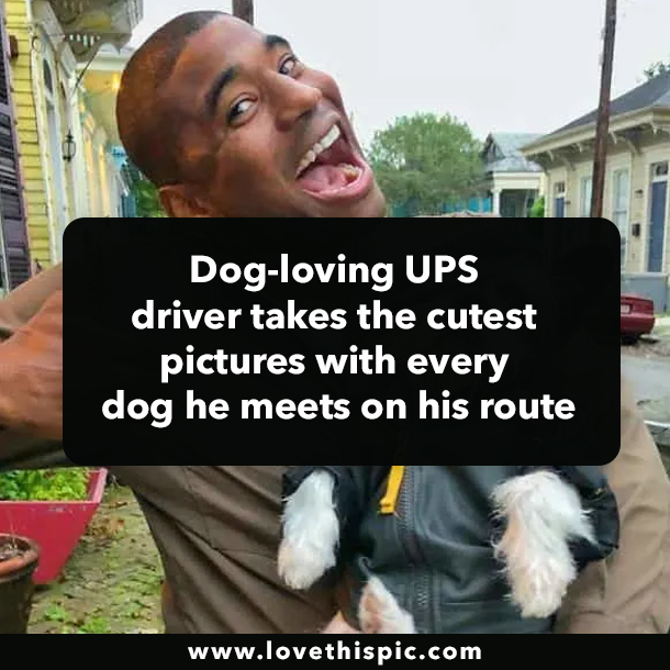 Dog-loving UPS driver takes the cutest pictures with every dog he meets on his route