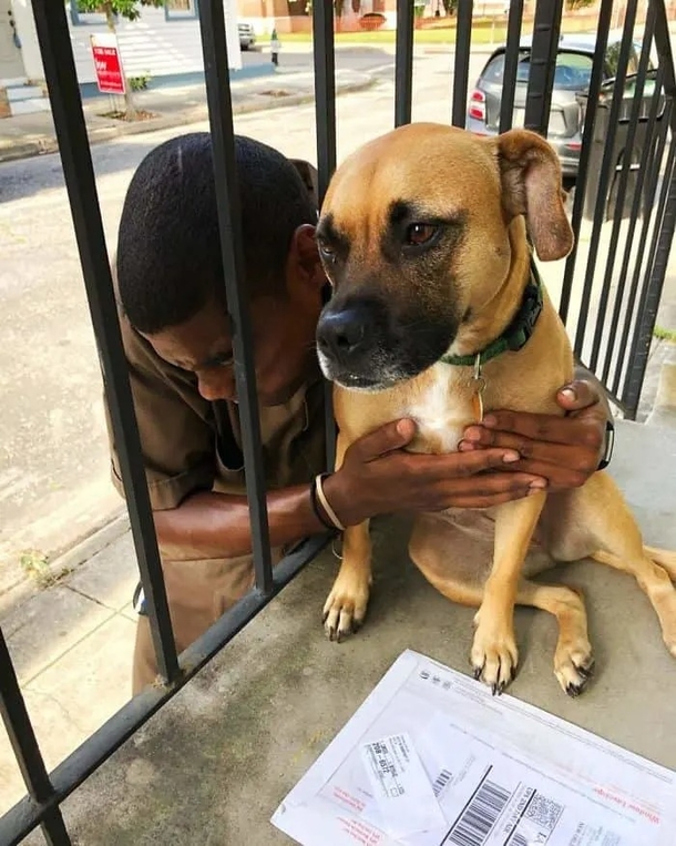 Dog-loving UPS driver takes the cutest pictures with every dog he meets on his route - picture 5