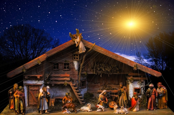 Doggies come together to pose for Christmas’ cutest Nativity scene - picture 2