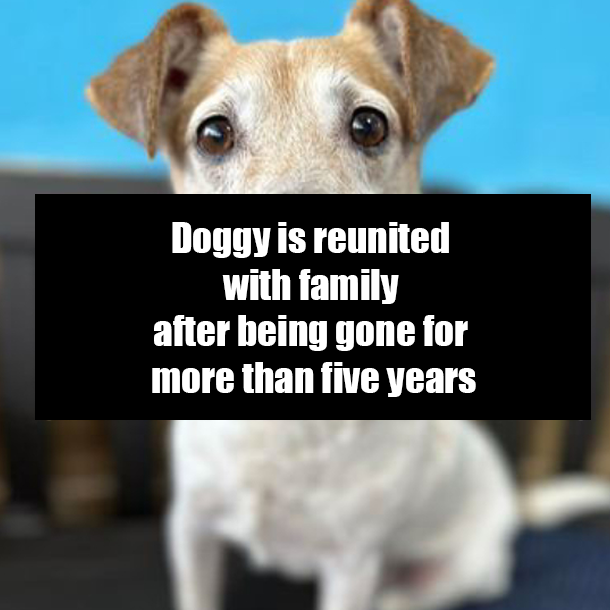 Doggy is reunited with family after being gone for more than five years