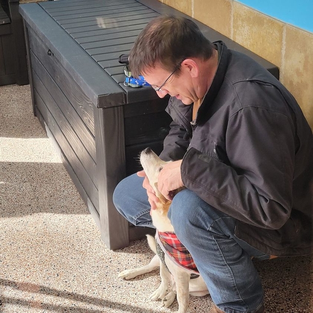 Doggy is reunited with family after being gone for more than five years - picture 3
