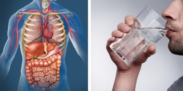 Drinking Only Water For 30 Days Has This Affect On Your Body - picture 2
