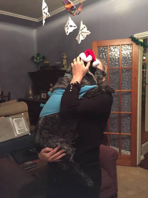 Dying Dog’s Family Does Christmas Early So They Can All Celebrate One Last Time - picture 8