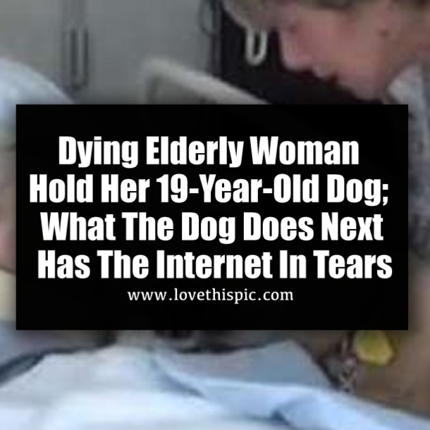 Dying Elderly Woman Hold Her 19-Year-Old Dog; What The Dog Does Next Has The Internet In Tears