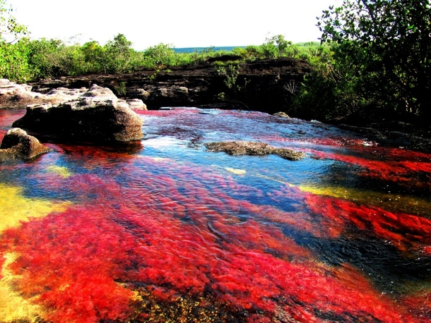 Each Year This River Creates The Most Beautiful Colors Imaginable, You Have To See It To Believe It - picture 2