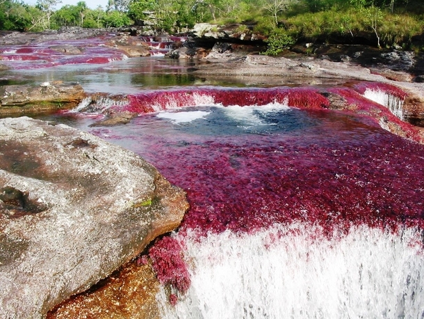 Each Year This River Creates The Most Beautiful Colors Imaginable, You Have To See It To Believe It - picture 3