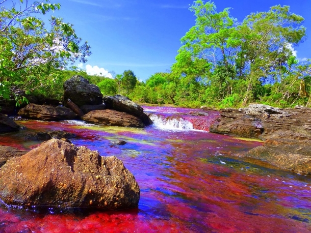 Each Year This River Creates The Most Beautiful Colors Imaginable, You Have To See It To Believe It - picture 4