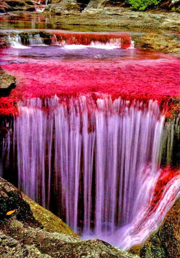 Each Year This River Creates The Most Beautiful Colors Imaginable, You Have To See It To Believe It - picture 6