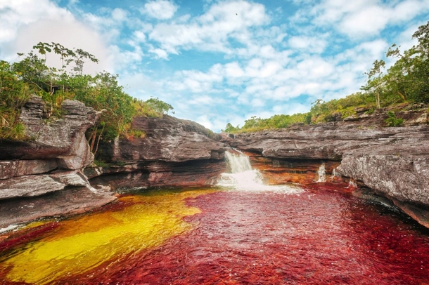 Each Year This River Creates The Most Beautiful Colors Imaginable, You Have To See It To Believe It - picture 7