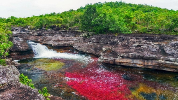 Each Year This River Creates The Most Beautiful Colors Imaginable, You Have To See It To Believe It - picture 8