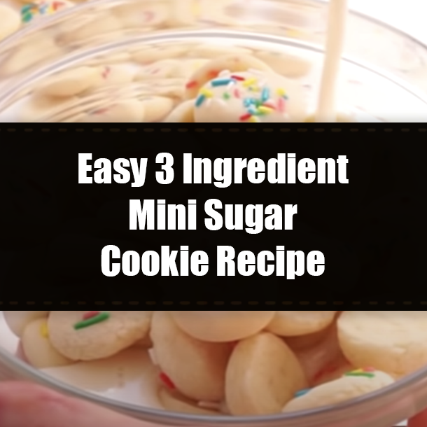 Easy 3 Ingredient Mini Sugar Cookie Recipe