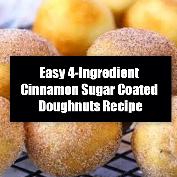 Easy 4-Ingredient Cinnamon Sugar Coated Doughnuts Recipe