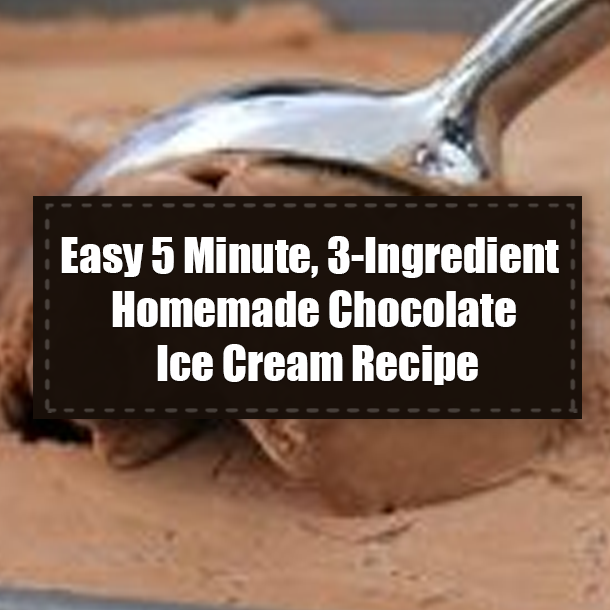 Easy 5 Minute, 3-Ingredient Homemade Chocolate Ice Cream Recipe