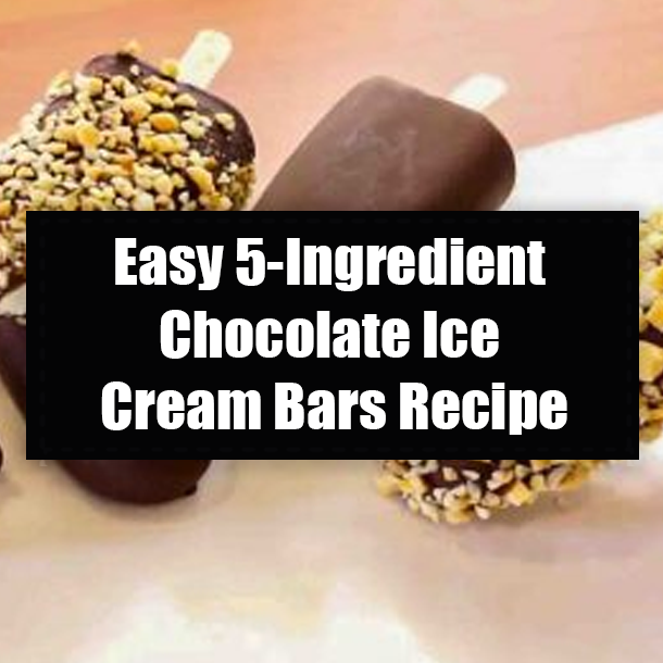 Easy 5-Ingredient Chocolate Ice Cream Bars Recipe