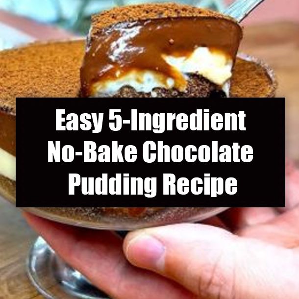 Easy 5-Ingredient No-Bake Chocolate Pudding Recipe