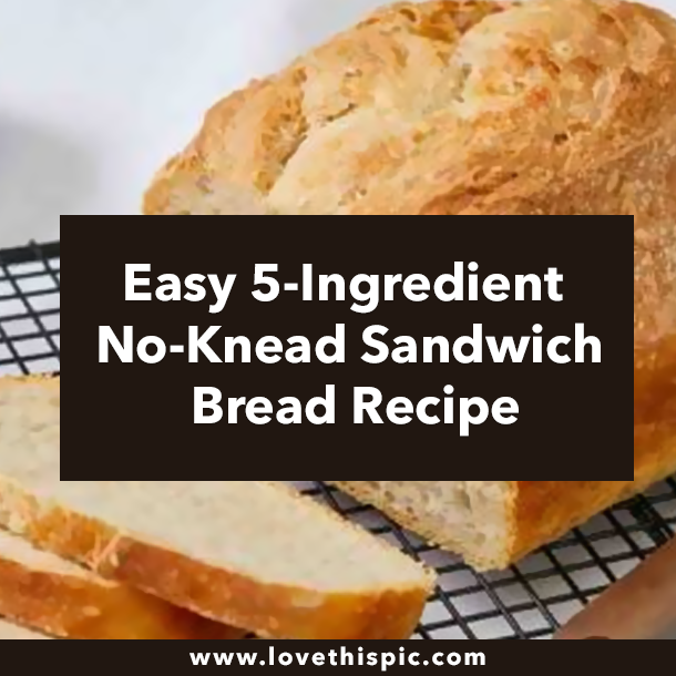 Easy 5-Ingredient No-Knead Sandwich Bread Recipe