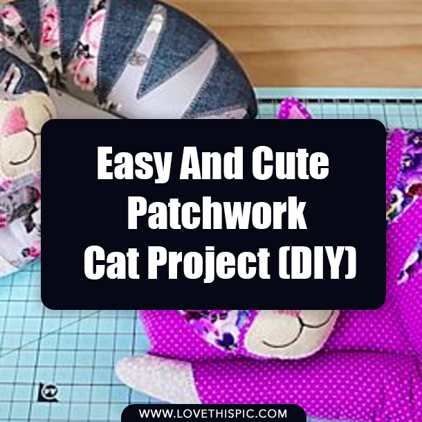Easy And Cute Patchwork Cat Project (DIY)