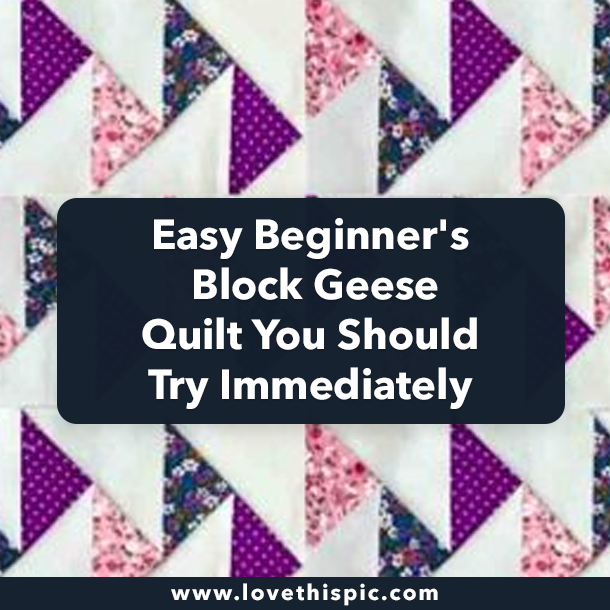 Easy Beginner's Block Geese Quilt You Should Try Immediately