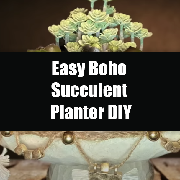 Easy Boho Succulent Planter DIY