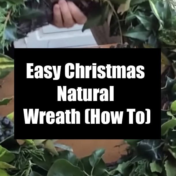 Easy Christmas Natural Wreath (How To)