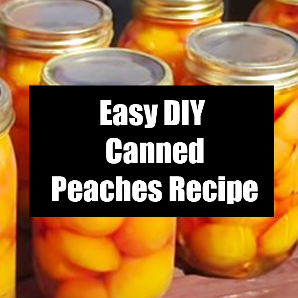 Easy DIY Canned Peaches Recipe