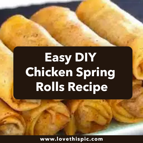 Easy DIY Chicken Spring Rolls Recipe