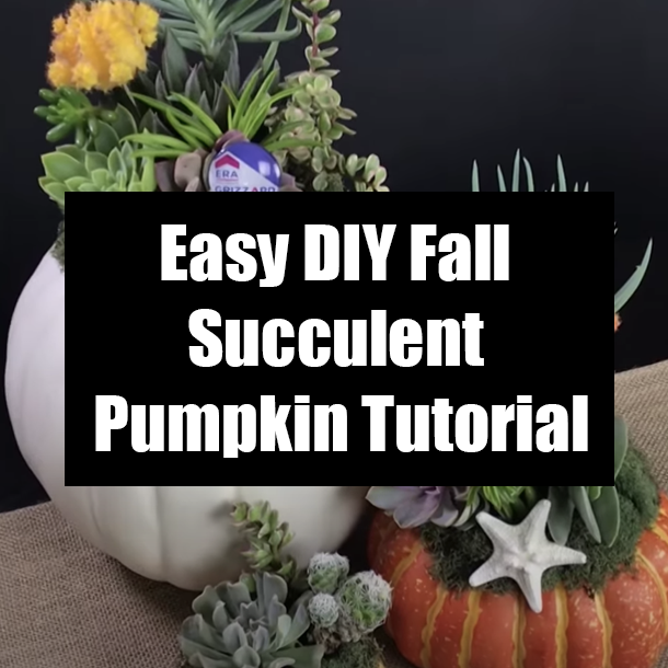 Easy DIY Fall Succulent Pumpkin Tutorial