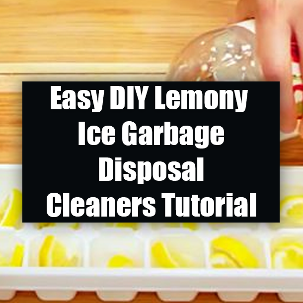 Easy DIY Lemony Ice Garbage Disposal Cleaners Tutorial